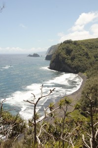 Pololu-Valley
