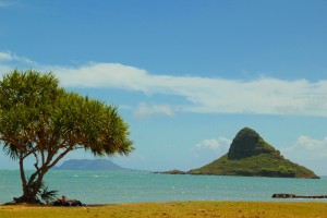 chinaman-hat-island