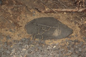 petroglyph-surf