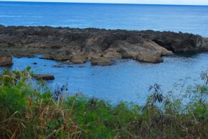 sharks-cove-1